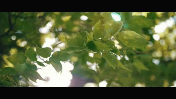 Speedmaster 25mm f0.95 视频样片欣赏