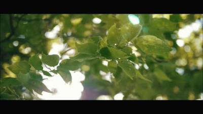 Speedmaster 25mm f0.95 视频样片欣赏